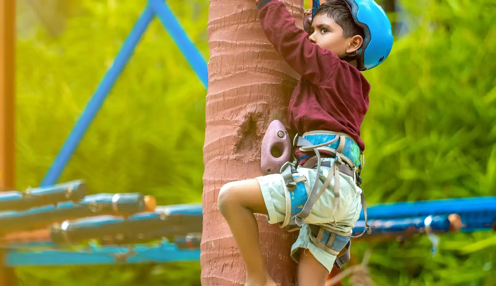 tree-climbing-kids-pondicherry